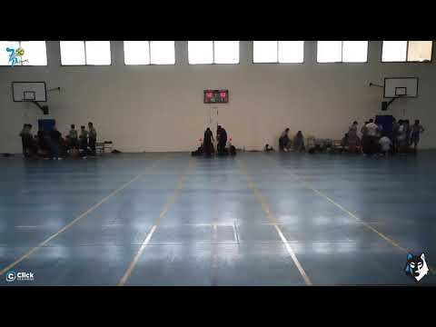 INFANTIL MASCULINO: CB 7 Palmas -  CB Goleta