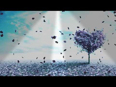 Naino Ki To Baat Lyrical Song ( Male )