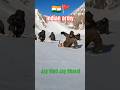 Indian Army ️ Jaihind I Love My Country Youtube Trending How Indian Hot Trending Youtuber