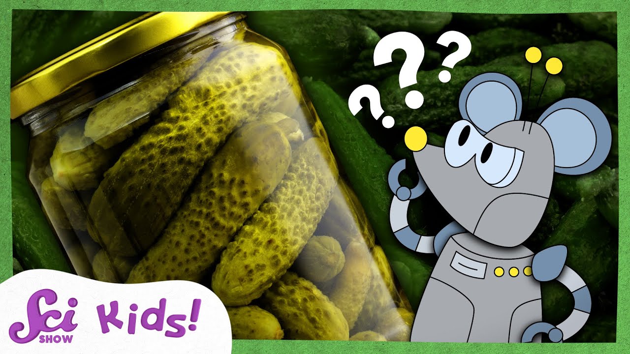 What Are Pickles? | The Science of Food! | SciShow Kids