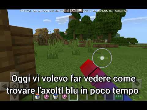 Come trovare un'axolotl blu in poco tempo ⚠️BUG TOLTO