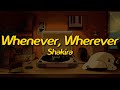 Shakira Whenever Wherever Lyrics
