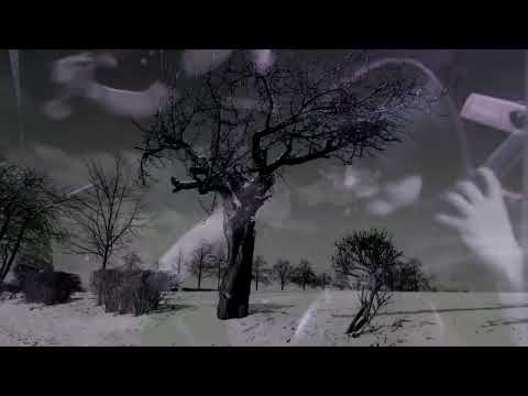 Wintermärchen - Darkwood