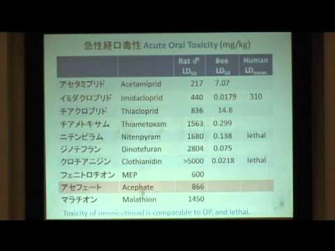 Efeitos dos neonicotinóides na saúde humana
