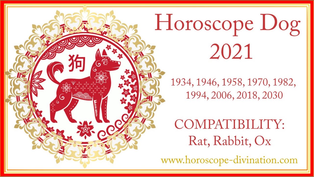 Chinese Horoscope 2021 Dog: White Metal Ox Year ⬅️