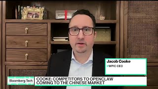 Chinese Firms Benefit From Consumer AI Uptake