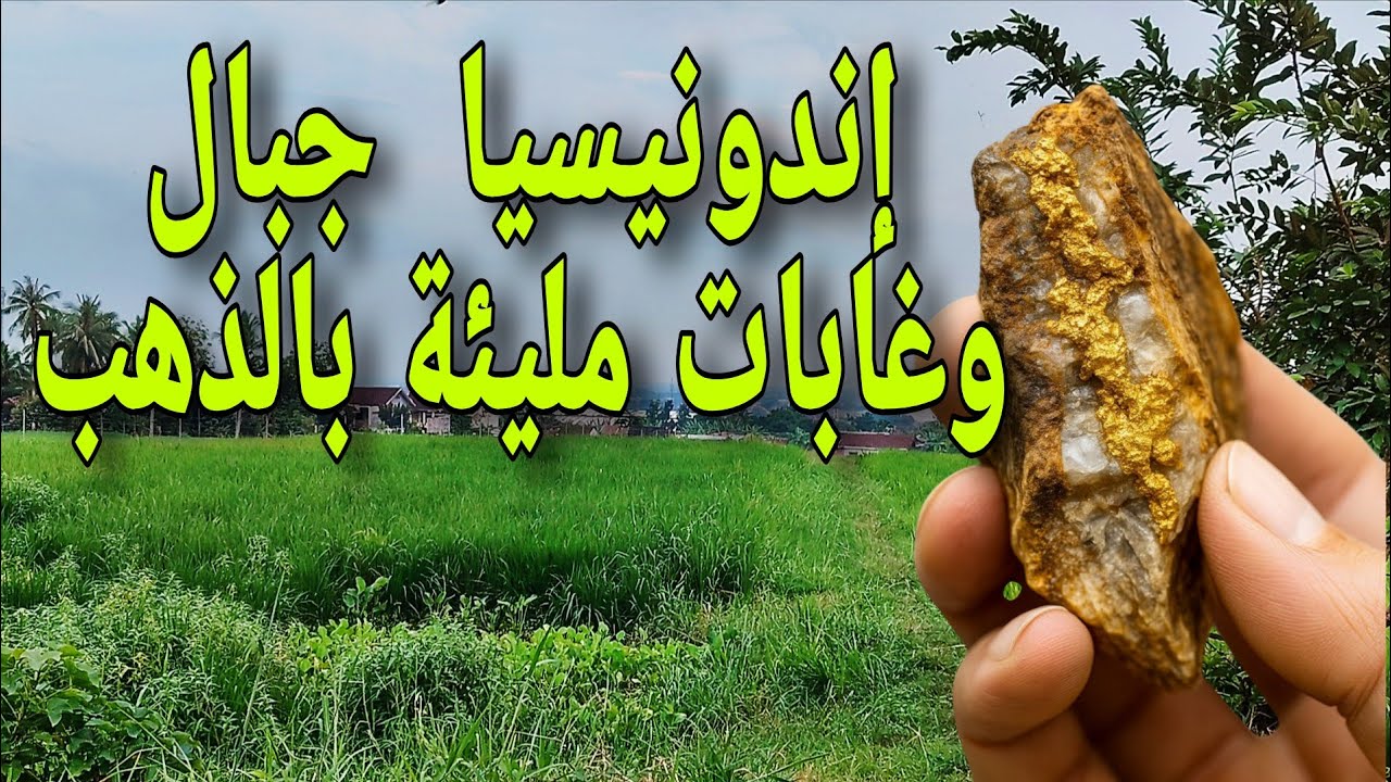 رحلة إلى جبال الذهب في إندونيسيا | حيث تبدأ المغامرة الحقيقية