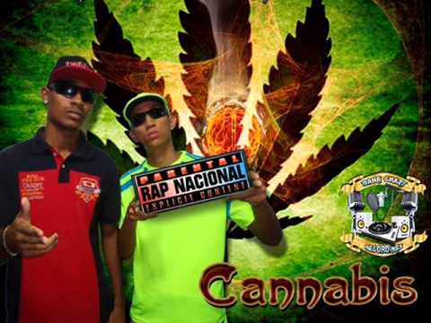 DUPLA CONSCIÊNCIA - Cannabis