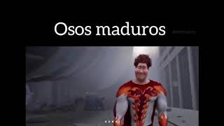 Osos Maduros
