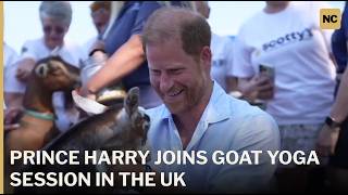 Prince Harry Tries Goat Yoga During UK Visit | AC1P
