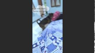 Download lagu ANJING KAWIN SAMA BANTAL GULING  **FLEXI** mp3