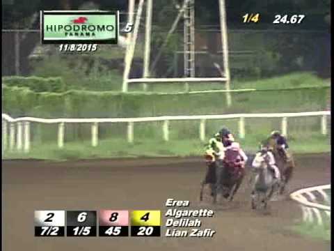 5TA CARRERA DOMINGO 8 DE NOVIEMBRE DE 2015 HPR