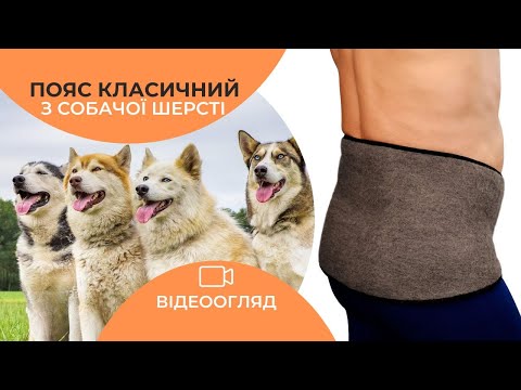 Пояс для спины из собачьей шерсти Классический L (обхват 115-135 см) - фото 1 - id-p1015069946