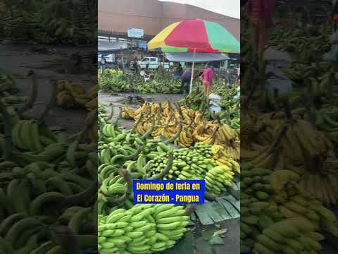 Así se vive un domingo de feria en El Corazón - Pangua 💙💛