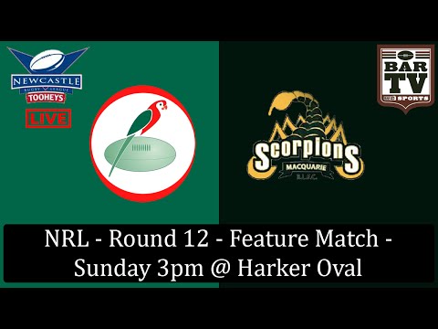 2015 NRL - Round 12 - Feature Match - Wests v Macquarie