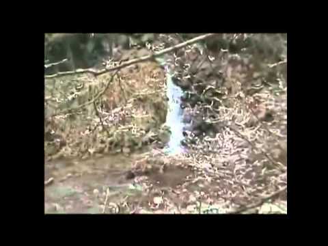 Cazare Bistrita Nasaud - Cazat.ro