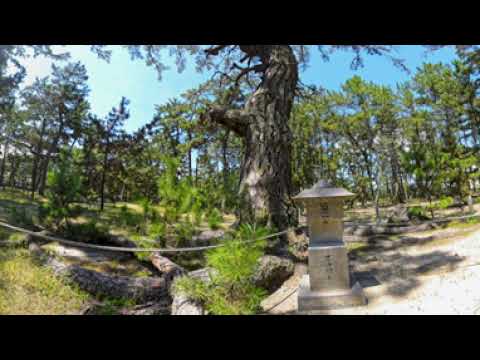 【8K360°VR】香川県　津田の松原・琴林公園（東讃地域／さぬき市）《香川県》