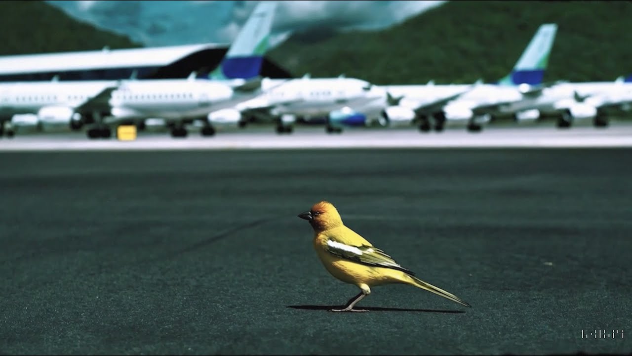 Dreams · Made by Wayne Price and IN-Q with Sora