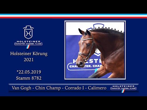 Holsteiner Körlot 2021 | Nr. 66 v. Van Gogh - Chin Champ - Corrado I - Calimero