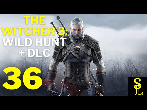 The Witcher 3: Wild Hunt | All DLCs | Let's Play Part 36