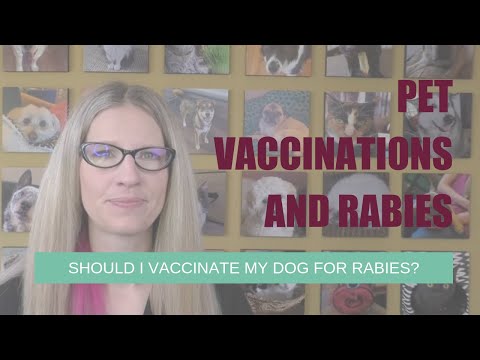 Should I Vaccinate My Dog For Rabies? | Ask Dr. Angie