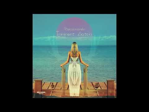 reasonandu I Imminent Satori [Full Album]