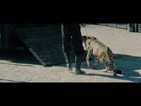 The Zookeeper's Wife - Stay Safe - Own it Now on Digital HD & 7/4 on Blu-ray & DVD