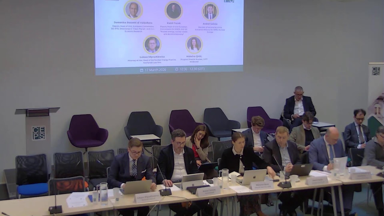 Does Europe have what it takes to deploy small modular reactors?