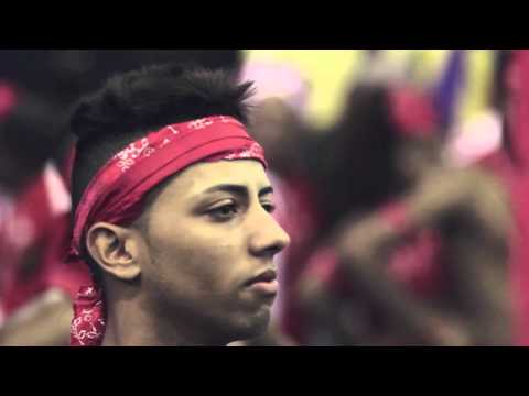 CLIPE OFICIAL  Alegria da Zona Sul 2016