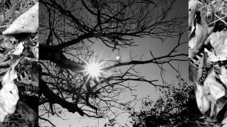 Mel Torme   Autumn Leaves live 1957