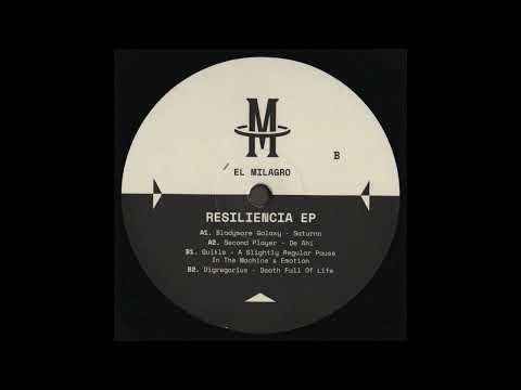 B1. Guikle - A Slightly Regular Pause In The Machine's Emotion [ELMIL07]