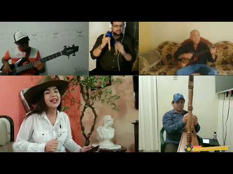 Cimarrón Araucano Yoliangel Matute