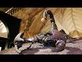The Museum That Holds 80 Million Natural Wonders 4K Documentary