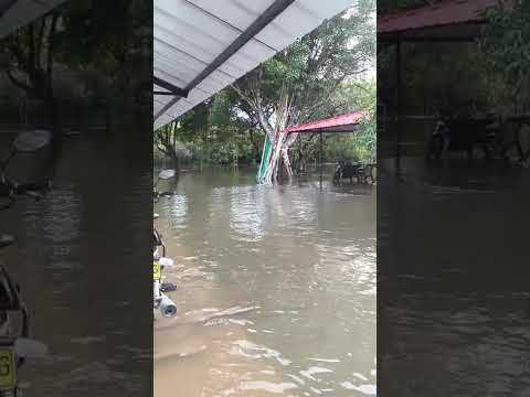 Vereda Claveles del municipio de Orocué bajo el agua