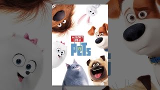 Download lagu The Secret Life of Pets mp3