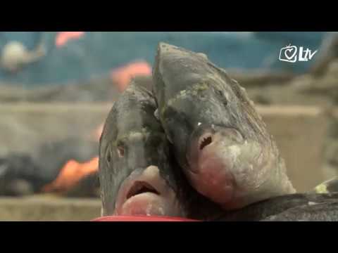 Blagoslovljen tek - Riječka riblja rapsodija 💛