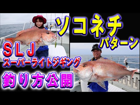 取材動画サムネイル 3