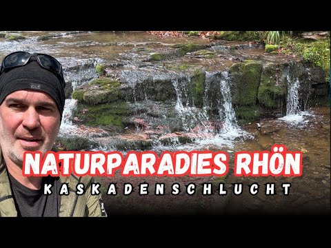 Kaskadenschlucht & Rotes Moor 🌲 Der perfekte Wandertrip in der Rhön!