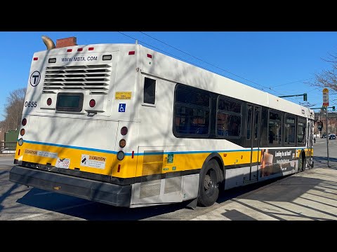 Adore Charlestown Buses! Albany Edition | Yoshi's Ride Series {S7-E14} - Riding the 554 🚌 - {MBTA}