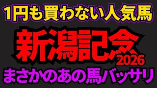 【知らないと損】新潟記念2026危険な人気馬！条件が全く合わなさそうなあの馬を推奨！