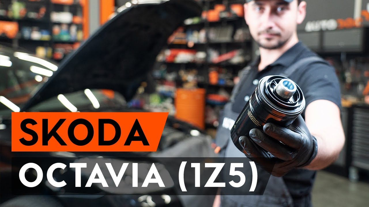 Kaip pakeisti Skoda Octavia 1Z5 variklio alyvos ir alyvos filtra - keitimo instrukcija