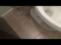 IMG 4296