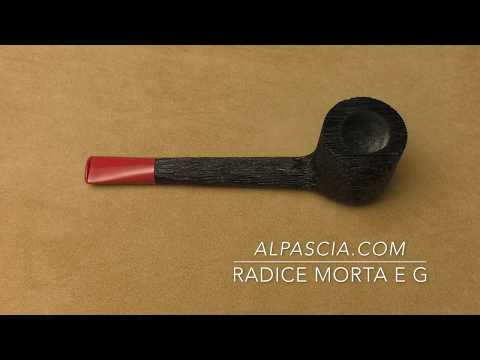 Radice Morta E G - piber 599