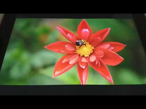 TEHILLIM #35 SALMOS #35 BIBLIA KADOSH