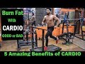 5 Amazing Benefits Of CARDIO | Burn Fat With Cardio Good or Bad?
