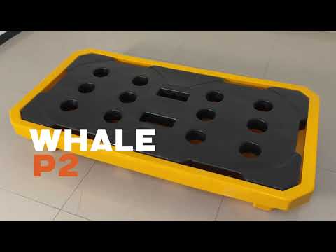 Thumbnail for video qnegyRK8S6Y