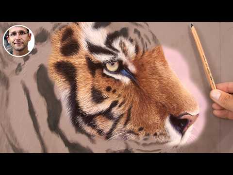 Learn to Draw Fur with Pastel - Professional tips / techniques - Jason Morgan Wildlife Art