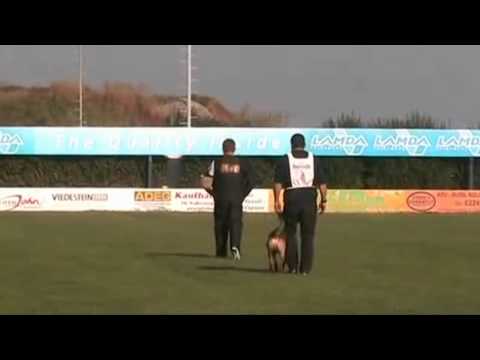 Josef Haas und Don Quichote bei der 1. FCI Ausscheidung für 2011