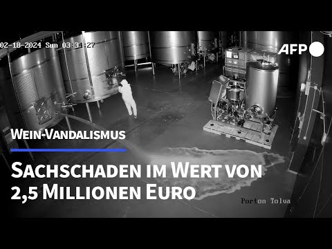 Vandalismus: Fast 60.000 Liter Spitzenwein vernichtet | AFP