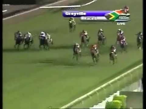 2013-01-08 Greyville - race 8